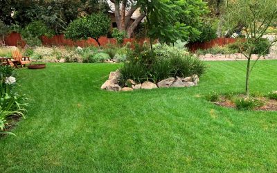 La Crescenta Lawns – Cool Season Grasses