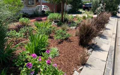 Mulch Addition for a Healthy Landscape