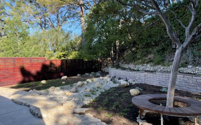 Turf Grass Removal – Drought Tolerant Installation